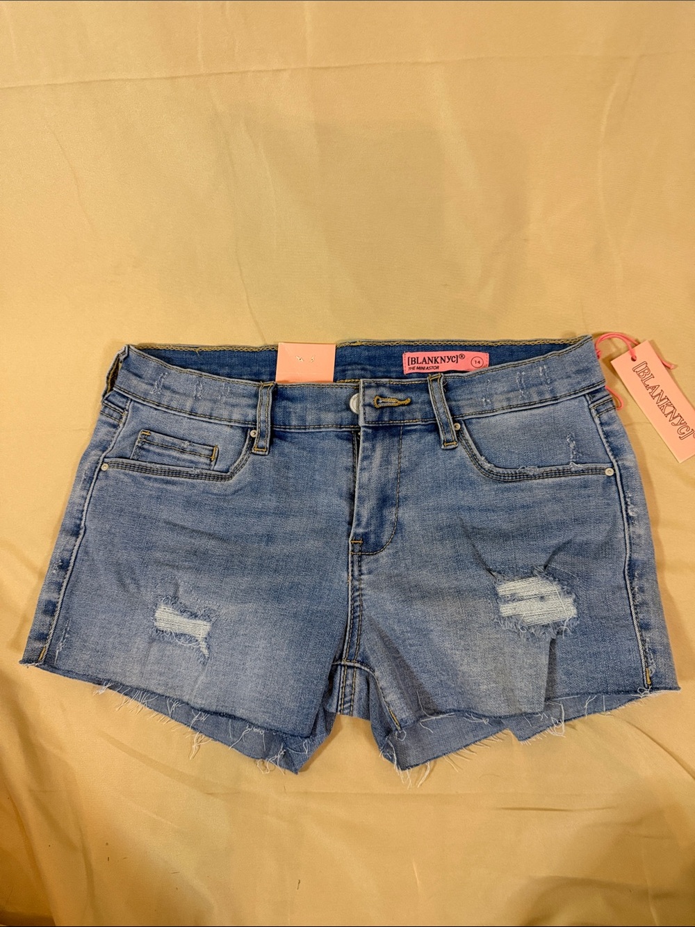 Blank NYC Light Blue Distressed Denim Cutoff Shorts